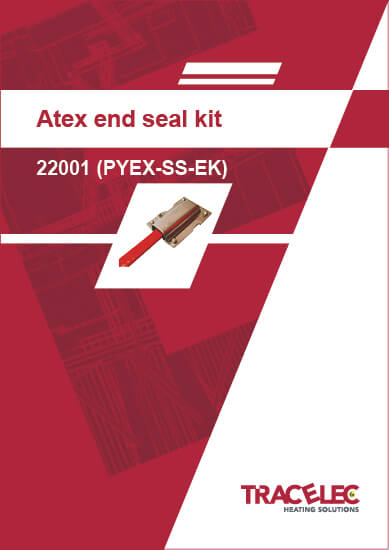 Atex end seal kit 22001 PYEX-SS-EK